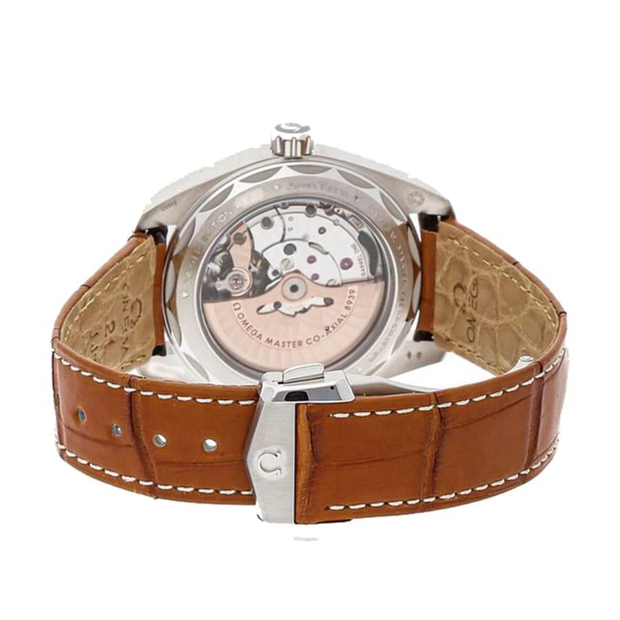 Omega Seamaster Aqua Terra Worldtimer Co-Axial Master Chronometer 220.93.43.22.99.001  Copy 1: EasyCare 283